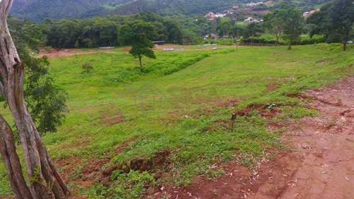 Imagem 6 de 11 de Lotes Exclusivos No Cônego - Lote 20 - 240
