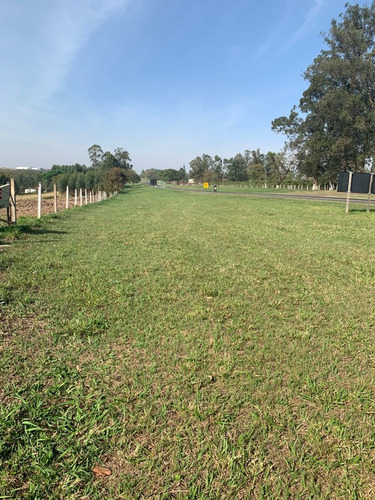 Imagem 8 de 8 de Terreno Em Descalvado Sp
