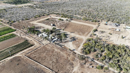El Palmar, Terreno En Venta En El Pescadero B.c.s.