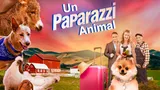 Un paparazzi animal