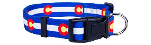 Collar De Perro De La Bandera Del Estado Nativo De Colorado