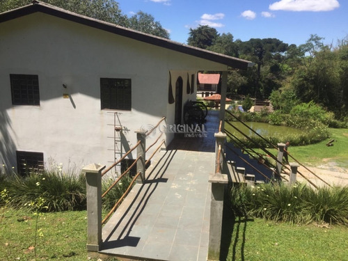 Imagem 9 de 10 de Chácara Para Venda - 1564.001