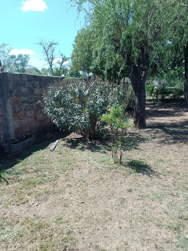 Casa Quinta A Tan Sólo 13 Cuadras De La Plaza Pedernera. En Villa Mercedes, San Luis. De 1875 M2. Ideal 2 Familias, 6 Ambientes, Pileta. Venden Dueños Directos.
