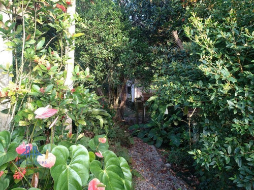 Imagem 15 de 19 de Chácara Com 3 Dormitórios À Venda, 5400 M² Por R$ 1.198.000,00 - Vargem Grande - Florianópolis/sc - Ch0009