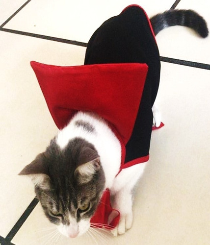 Capa Para Gato Perro Mascotas Pequeñas Halloween Dracula