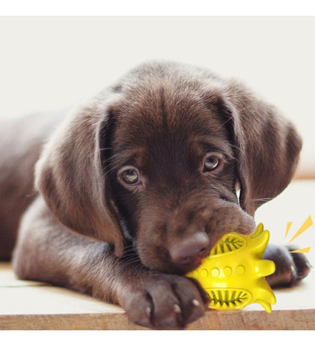 Pet2 Juguetes Para Perros Mascota Interactiva De Amarillot1