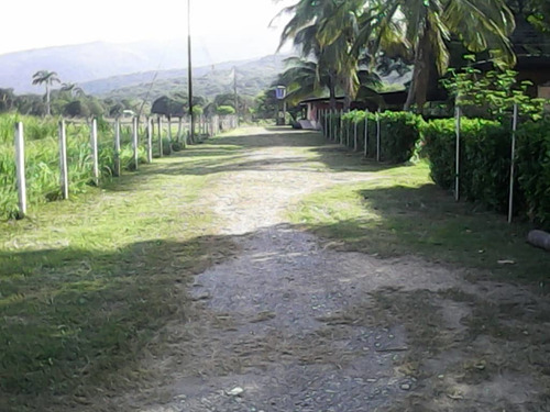 Imagen 9 de 14 de Se Vende!!! Parcela De 3,5 Has En San Francisco De Asís Aragua