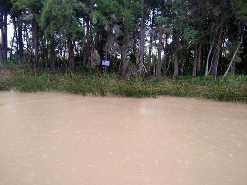 Imagen 3 de 6 de Terreno - Carapachay