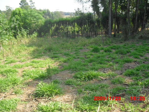 Imagem 2 de 13 de Terreno Próximo A Cidade