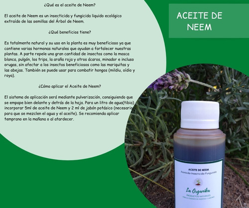Aceite De Neem 100ml