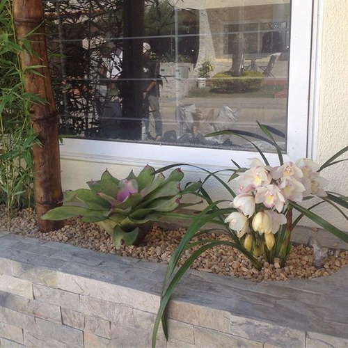 Jardines Verticales Barquisimeto