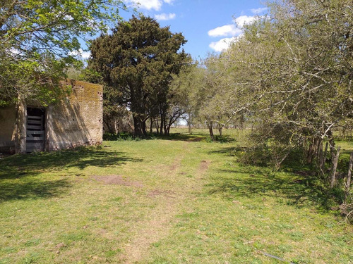 Campo En Venta En Dolores - 122 Hectáreas