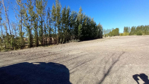 Imagen 4 de 30 de Chacra En Venta Con Casa Y Galpón Cervantes