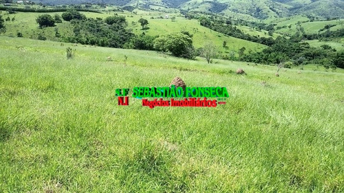Imagem 1 de 1 de Área Para Loteamento Ou Haras Em Caçapava - 1311