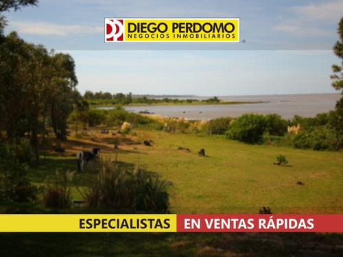 Imagen 2 de 5 de Chacra De 2.8 Has En Venta, Montevideo