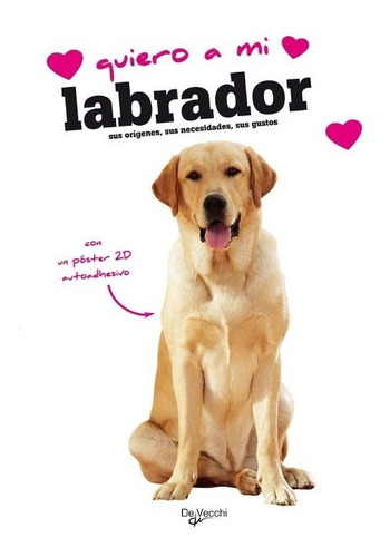 Labrador Quiero A Mi . Con Poster 2d