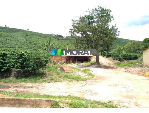 Imagem 7 de 12 de Fazenda - Zona Rural - Ref: 1394 - V-mta1394