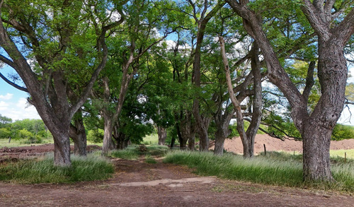 ESTANCIA CARABASSA