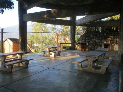 Imagen 3 de 13 de Se Vende Apto 105m2 3h/3b/2p Los Naranjos Con.5670