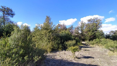 Imagen 2 de 7 de Terreno - San Martin De Los Andes