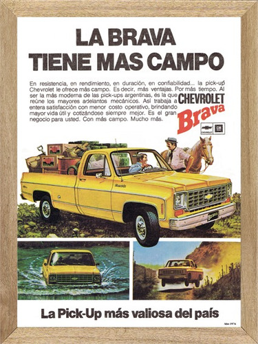 Chevrolet Camionetas Brava 1976 , Cuadro, Poster    P210