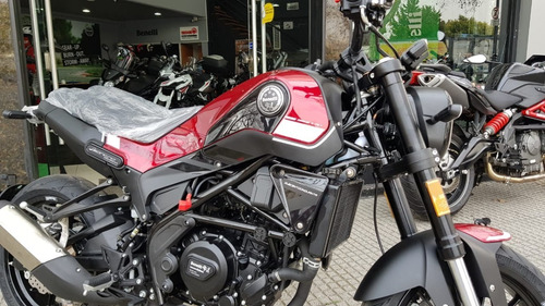 Imagen 6 de 18 de Benelli Leoncino 250 Abs Cafe Racer Agrobikes