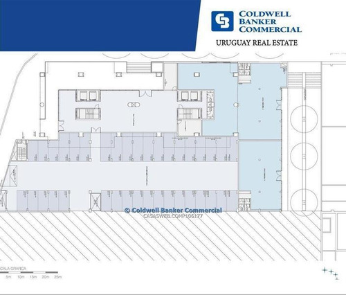 Local Comercial O Oficina - Barrio Sur - Alquiler