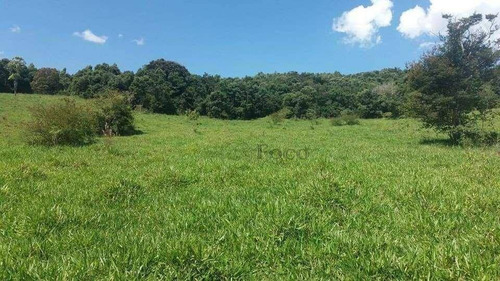 Imagem 9 de 13 de Sítio À Venda, 231800 M² Por R$ 600.000,00 - Belo Horizonte - Pouso Alegre/mg - Si0012