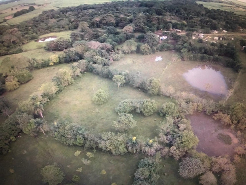 Imagen 12 de 14 de ( Hacienda De 1300 Tareas) Ganadera Los Llanos