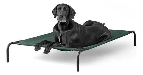 Coolaroo Cama Elevada Para Mascotas, Xl, Color Verde Bruns. Color Brunswick Green