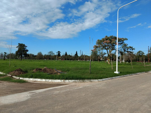 Imagen 6 de 11 de Terreno - Perez
