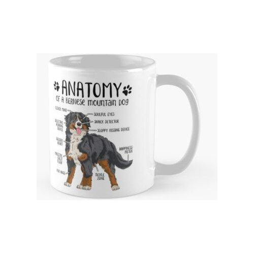 Taza Regalo Divertido Del Amante Del Perro De La Anatomía De