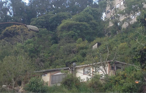 Casa Terreno San Antonio De Los Altos Venta Amplia Propiedad