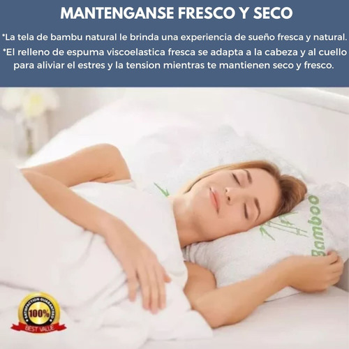 Bamboo Pillow Queen Espuma De Memoria Triturada 48x71 Blanco