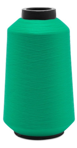 Fio Sancris Para Overlock 100% Poliéster Texturizado 100g Cor 0909- Verde Água Escuro