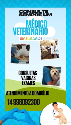 Veterinário Bauru