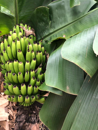 Viver Com A Natureza Não Tem Preço.