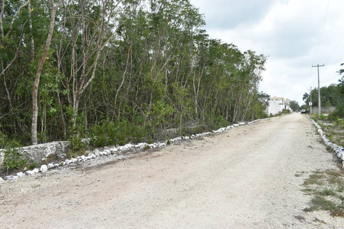 Imagen 1 de 10 de En Venta Terreno En Cancún, Colonia Doctores C2991