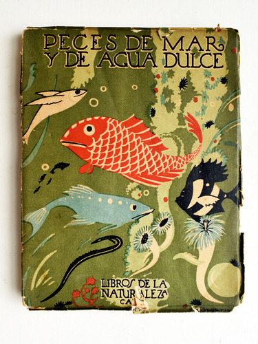 Libro Pesca Peces De Mar Y De Agua Dulce 1922   Angelcabrera