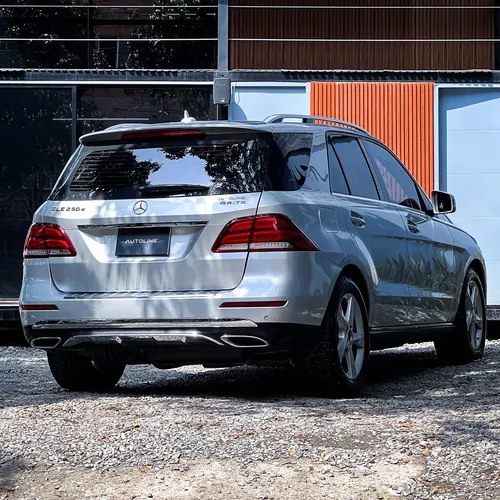 Mercedes-Benz Clase GLE 250D 4Matic B2+