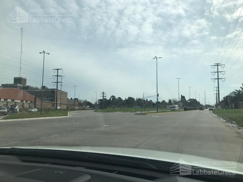 Imagen 2 de 3 de Terreno - Berazategui
