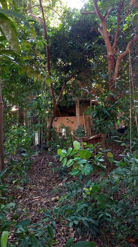 Casa Com 1 Quarto,cozinha Americana,1 Banheiro E Corredor