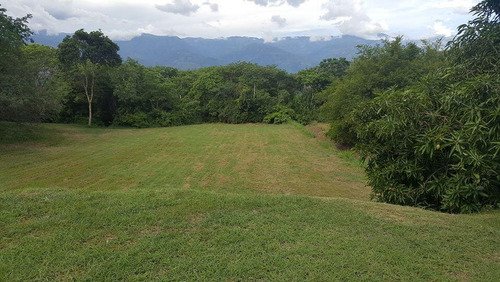 Se Vende Lote En Santa Fe De Antioquia 