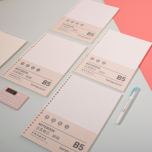 Imagen 3 de 4 de Repuestos De Hoja B5 Para Libretas B5