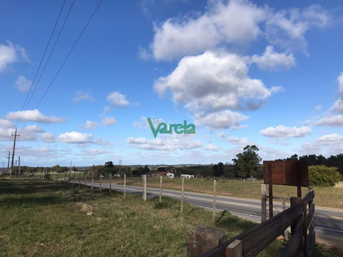 Imagen 12 de 14 de Chacras De 3 Has Sobre Ruta 11 - Balnearios Parque Del Plata