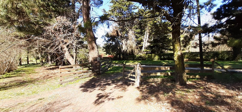 Fraccion De 8.1000 M² Parquizada Y Forestada