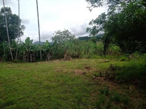 Imagem 3 de 12 de Chácara Em Itariri A 300 Metros Da Rodovia 1000² 20 Vagas.