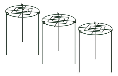 3 Estacas De Soporte Para Peonías Que Crecen A Través De Aro
