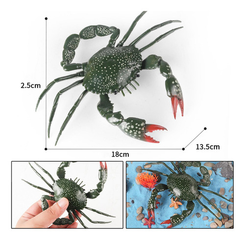 Modelo Animal, Juguete De Animales Cangrejos De Gran Tamaño