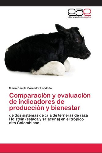 Libro: Comparación Y Evaluación De Indicadores De Producción